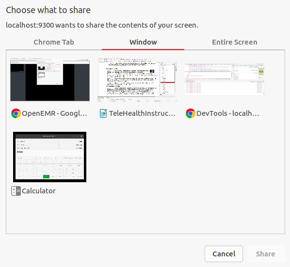 alt Pick your screen to share dialog window