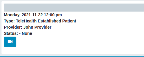 Telehealth Patient Portal Single Appointment Screenshot