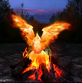 Pheonix.png