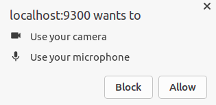 Grant microphone and video access screenshot